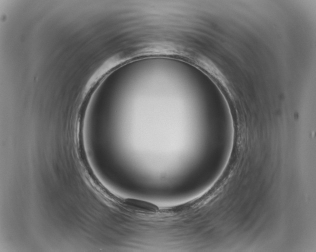 X0000086071179200703231300