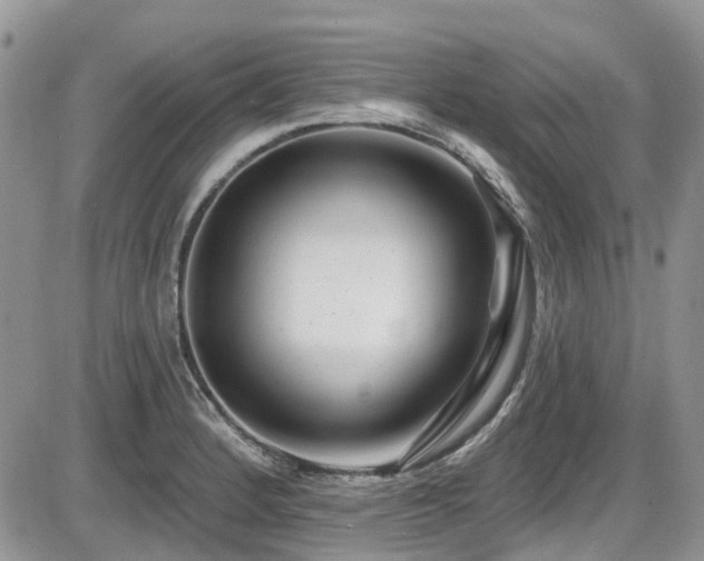 X0000086071184200703231259