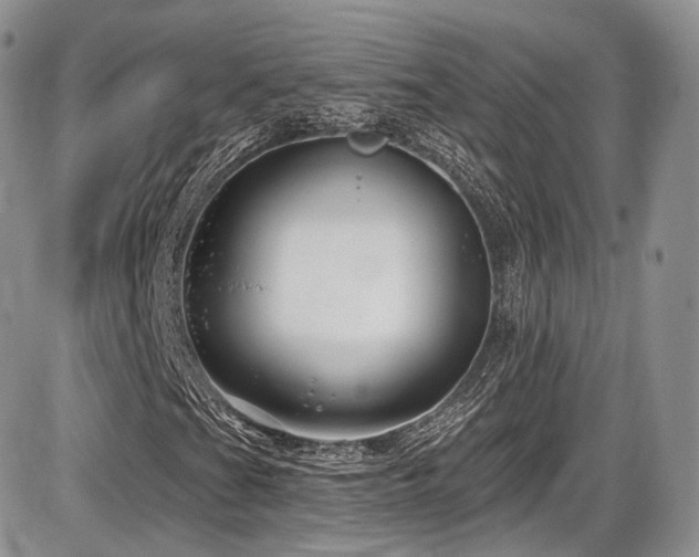 X0000086071201200703231258