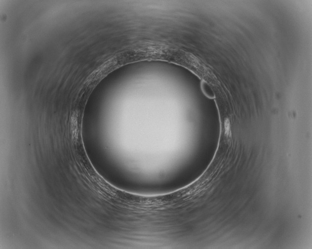X0000086071203200703231258