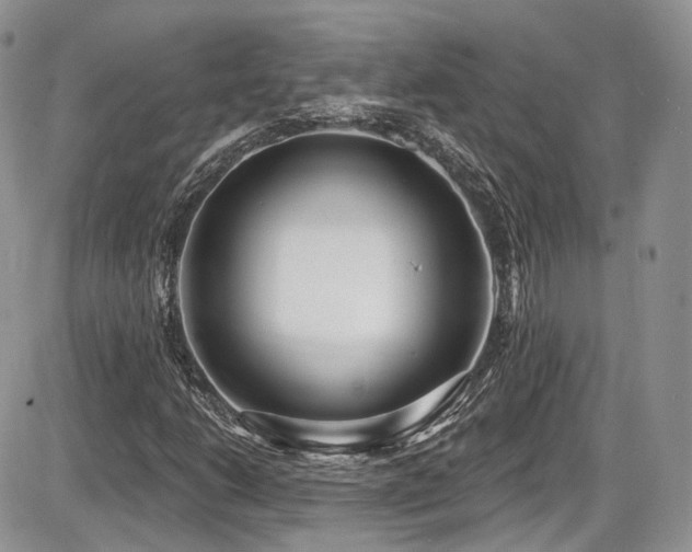 X0000086071206200703231258