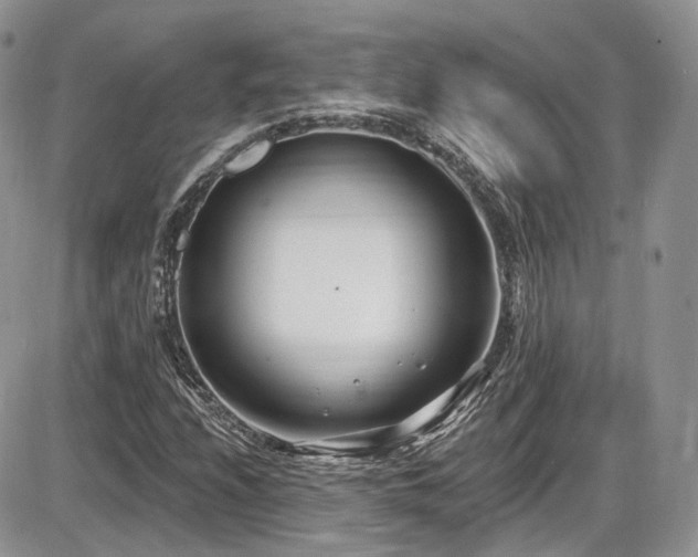 X0000086071208200703231258