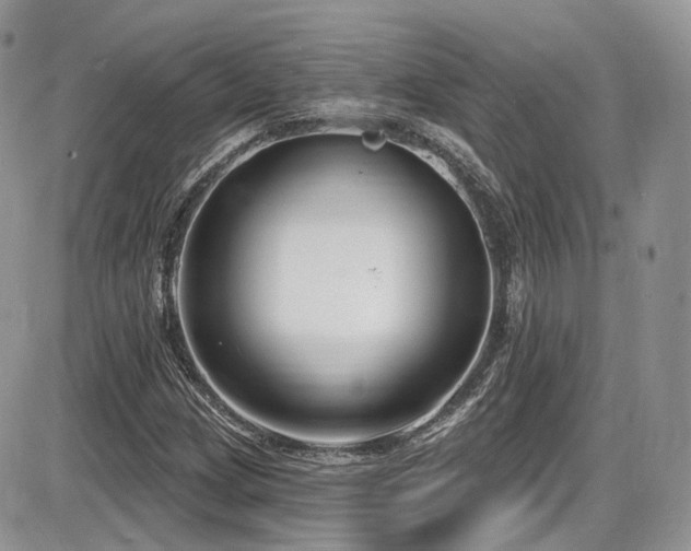 X0000086071209200703231259