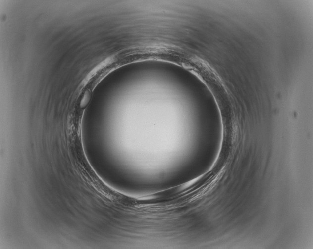 X0000086071210200703231259