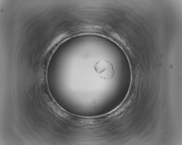 X0000086071211200703231259