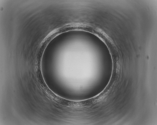 X0000086071213200703231259