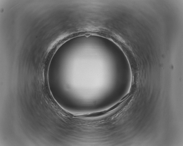 X0000086071214200703231259