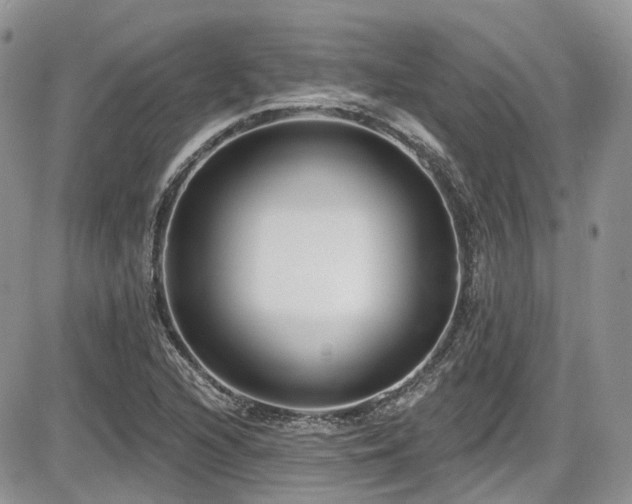 X0000086071216200703231259