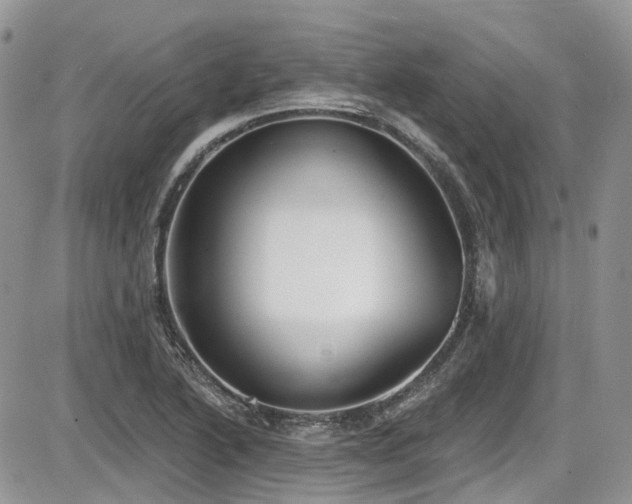 X0000086071222200703231259