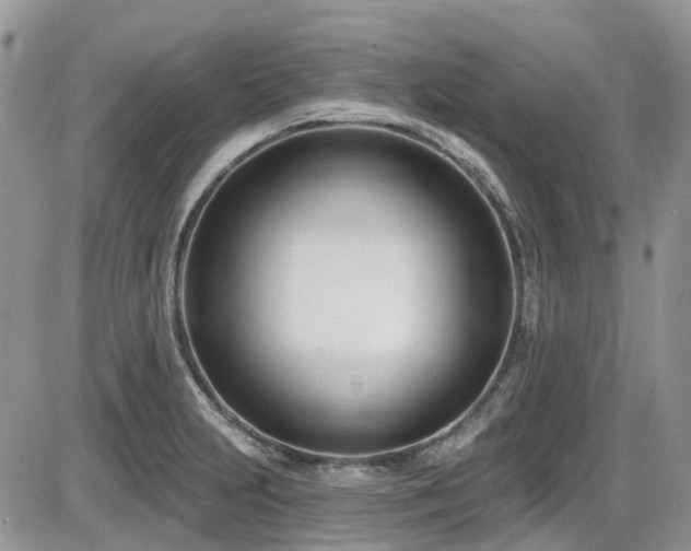 X0000086071231200703231259