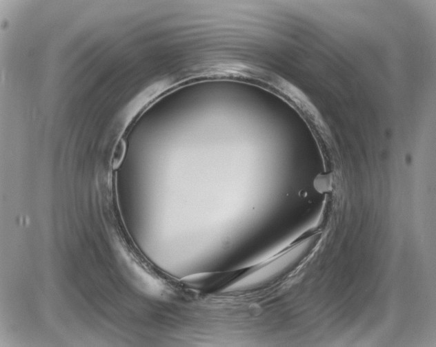 X0000086071234200703231259