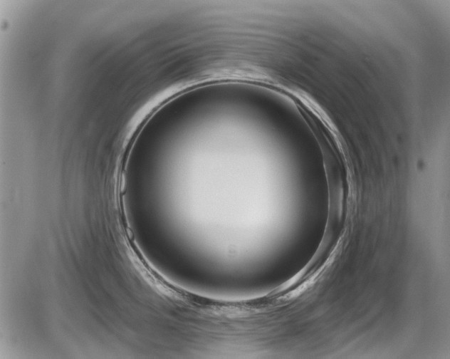 X0000086071246200703231259