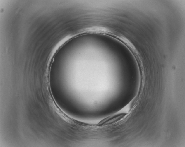 X0000086071248200703231259