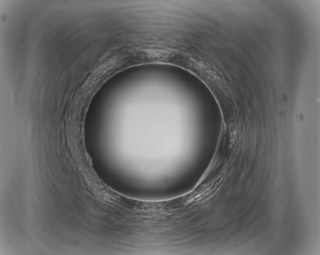 X0000086071249200703231258