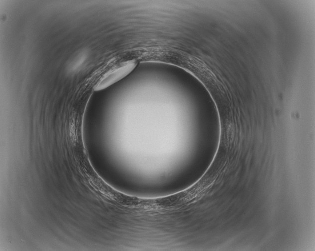 X0000086071250200703231258