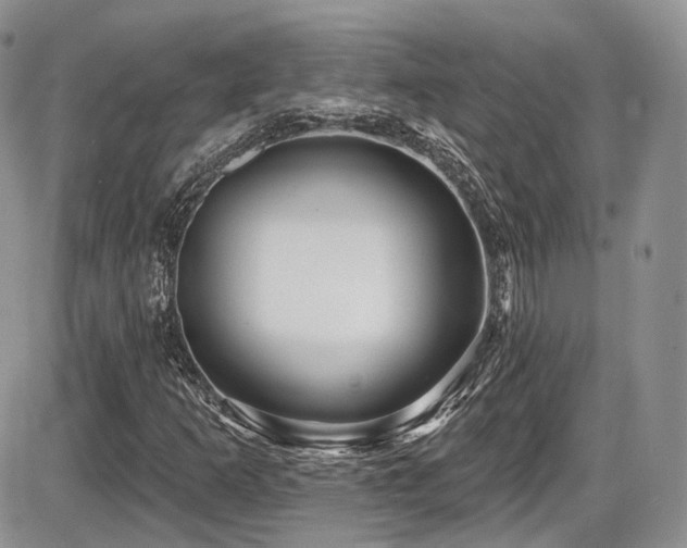 X0000086071253200703231258