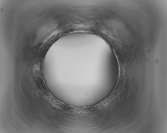 X0000086071254200703231258