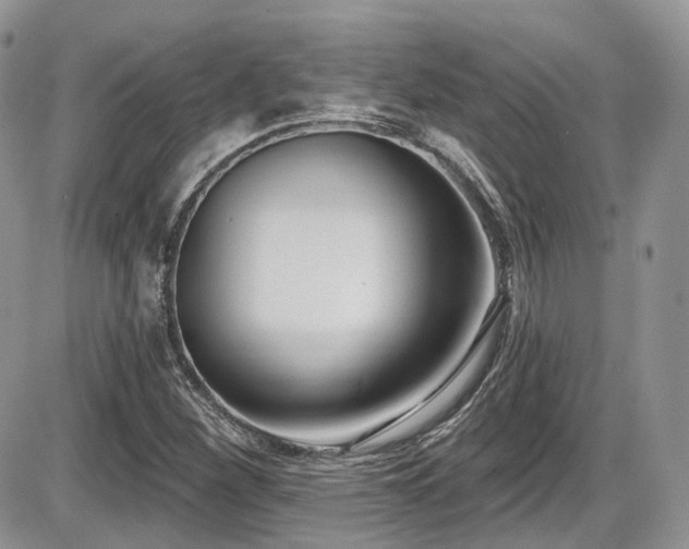 X0000086071260200703231258
