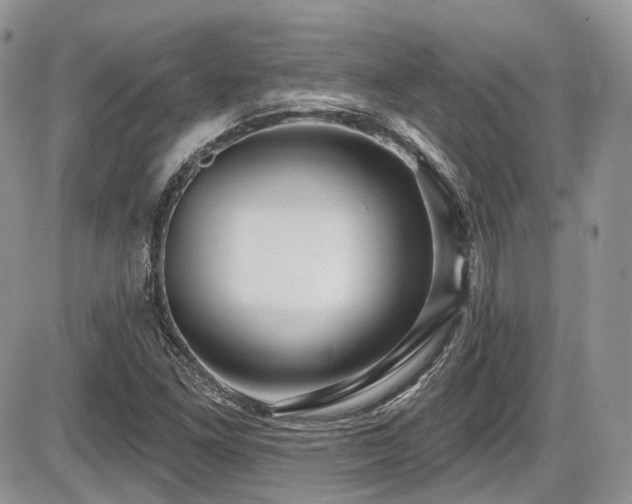 X0000086071261200703231258