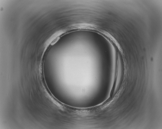 X0000086071285200703231258