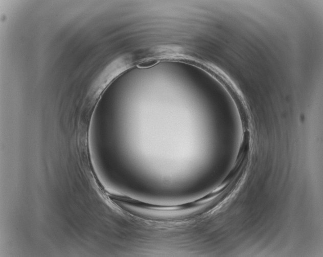 X0000086071289200703231258