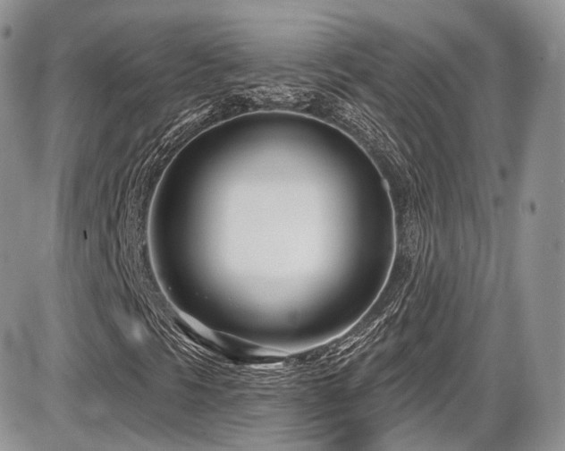 X0000086071297200703231257