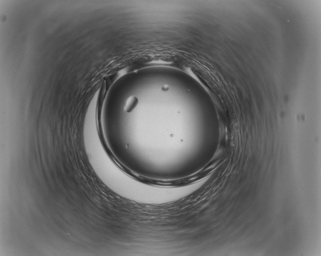 X0000086071298200703231257
