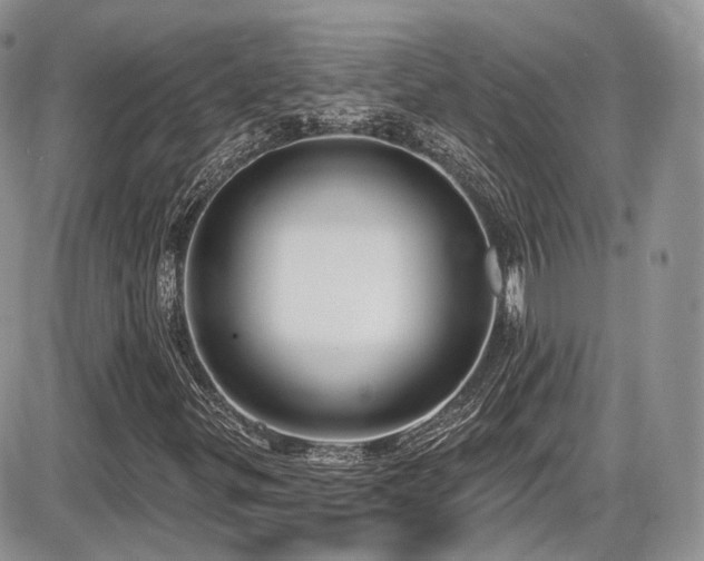 X0000086071299200703231257