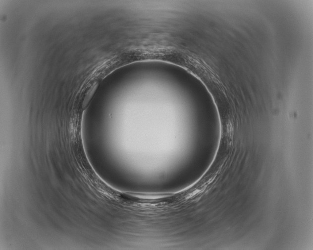 X0000086071300200703231257