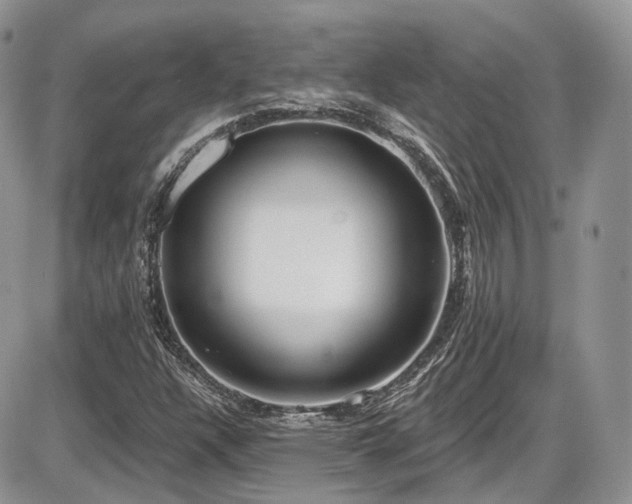 X0000086071304200703231257