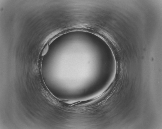 X0000086071308200703231257