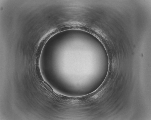 X0000086071309200703231257