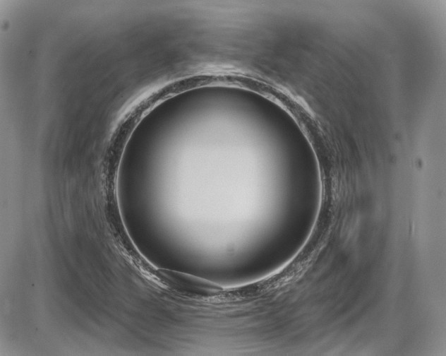X0000086071311200703231257