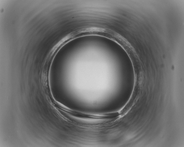 X0000086071321200703231257