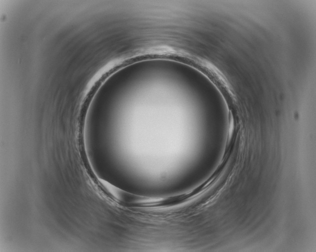 X0000086071326200703231257