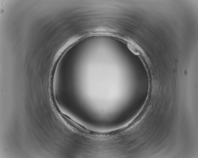 X0000086071333200703231257