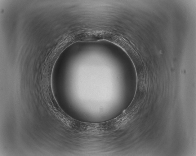 X0000086071345200703231257
