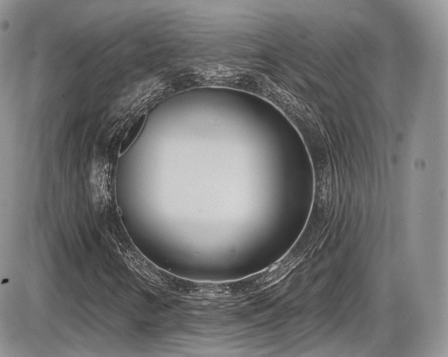 X0000086071346200703231257