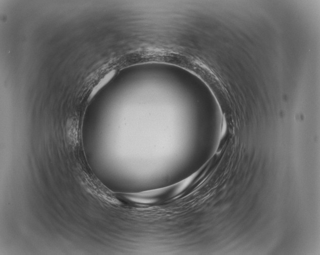 X0000086071348200703231257