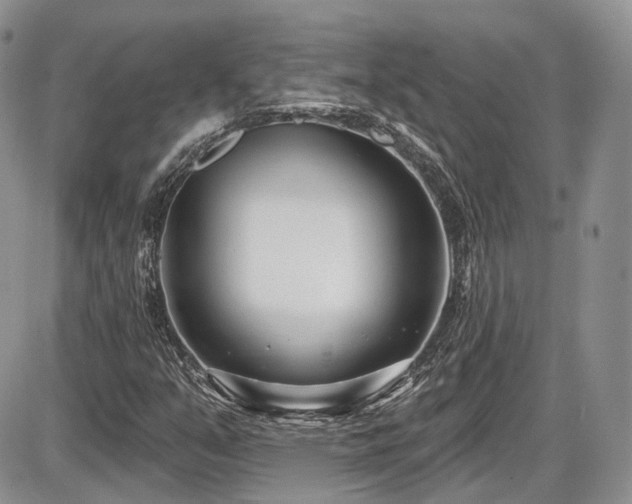 X0000086071351200703231257