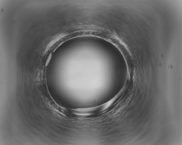 X0000086071352200703231257
