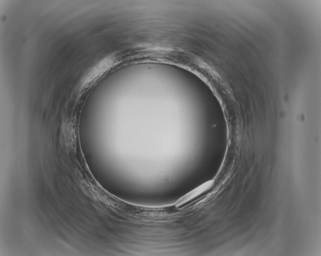 X0000086071354200703231257