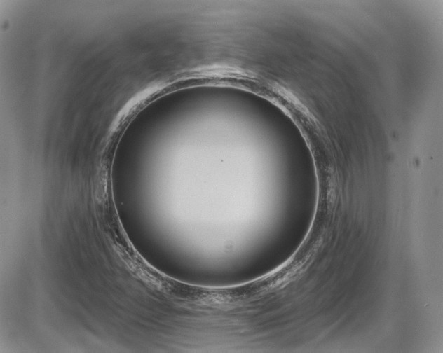X0000086071358200703231257