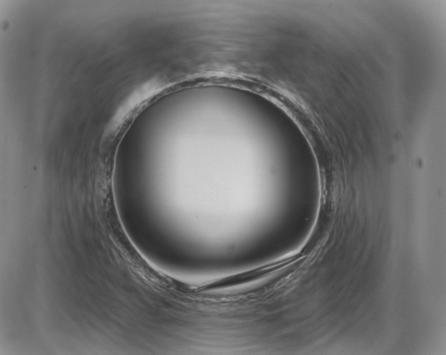 X0000086071359200703231257