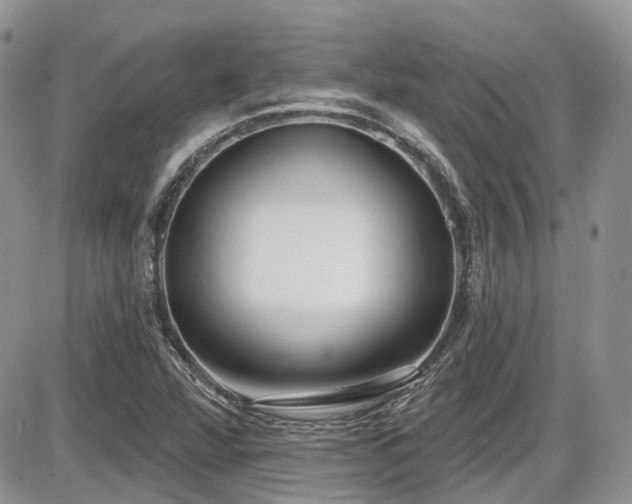 X0000086071360200703231256