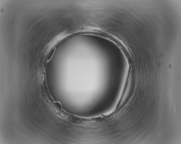 X0000086071363200703231256
