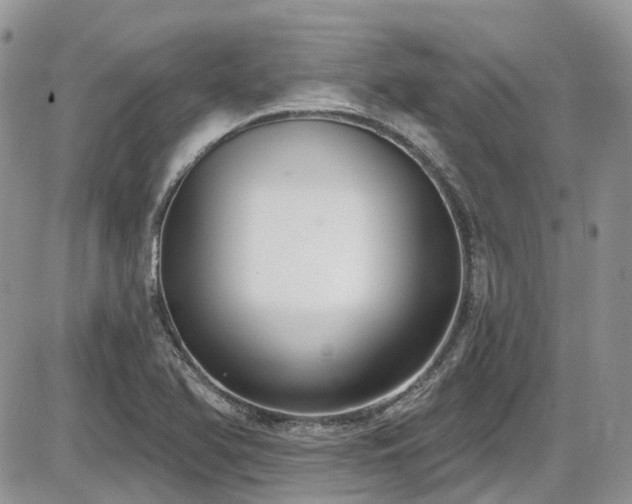 X0000086071366200703231256