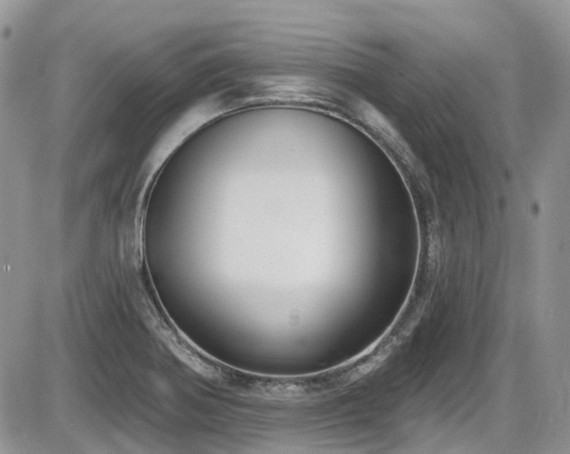 X0000086071370200703231256