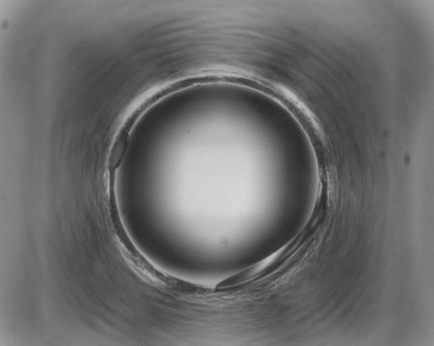 X0000086071372200703231256