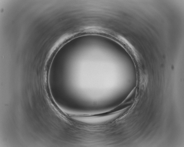 X0000086071376200703231256
